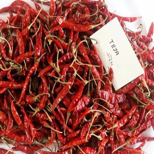Teja Dry Red Chilli
